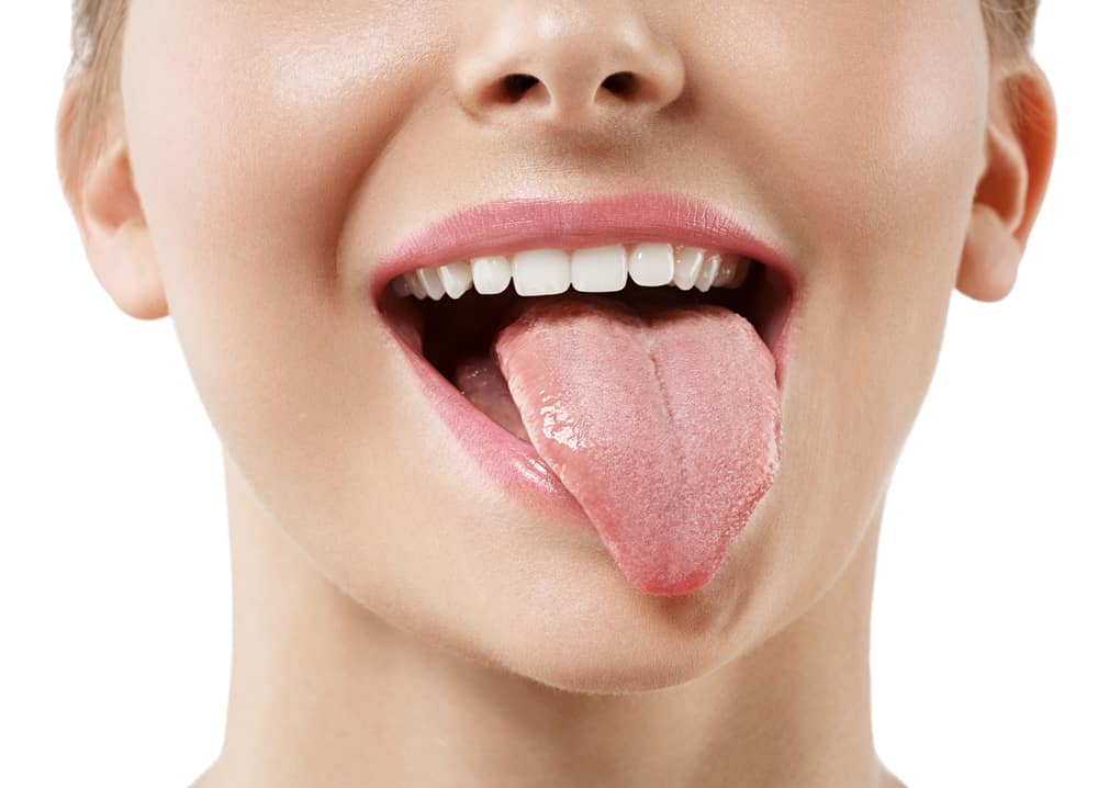 舌の部分とそのさまざまな機能を知る
