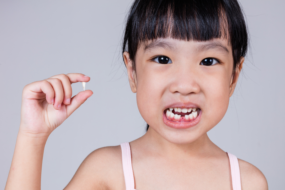 赤ちゃんの乳歯は抜けていますが、大人の歯は成長していません。なんでだろう？