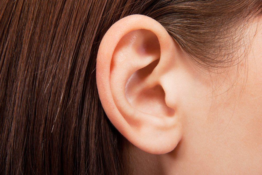 清潔さの維持から定期的なチェックまで、耳のケア方法