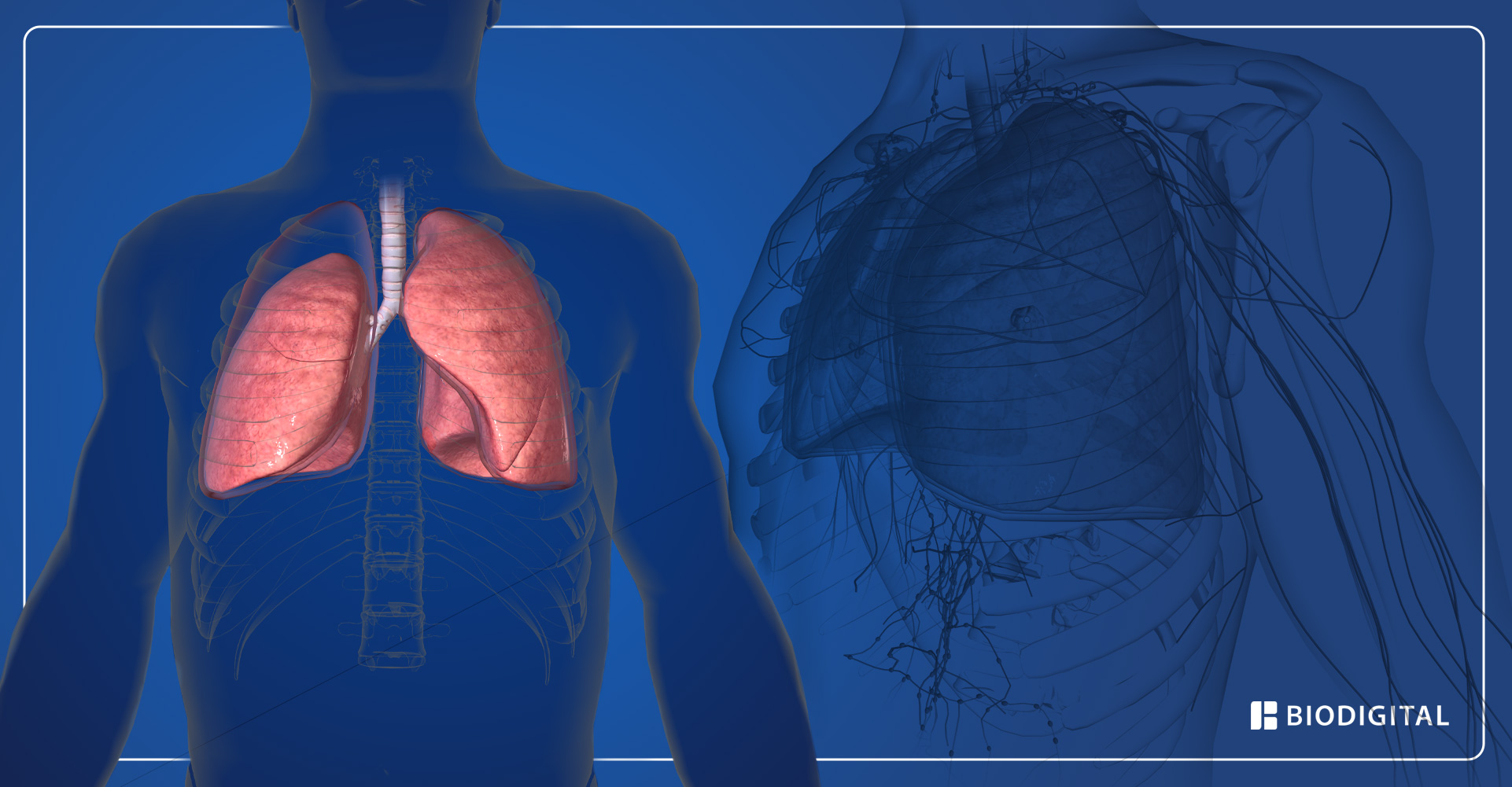 10 sintomi del cancro ai polmoni da non ignorare
