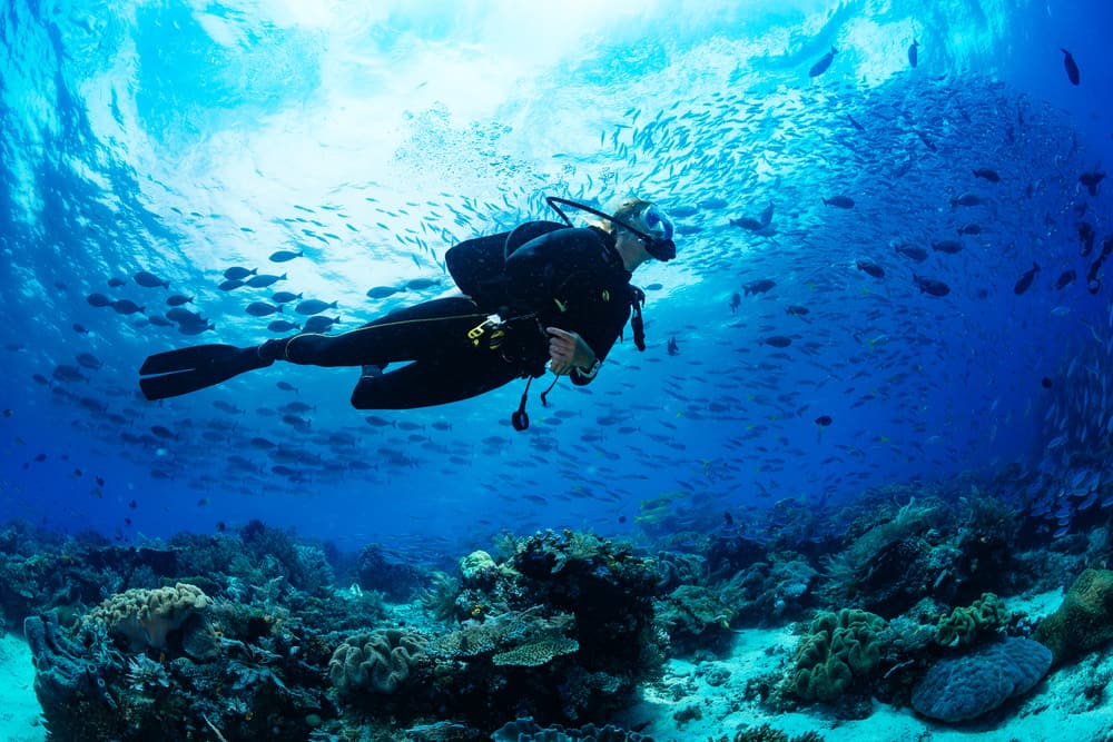 Interessato a imparare le immersioni subacquee? Questi sono 3 suggerimenti importanti a cui prestare attenzione