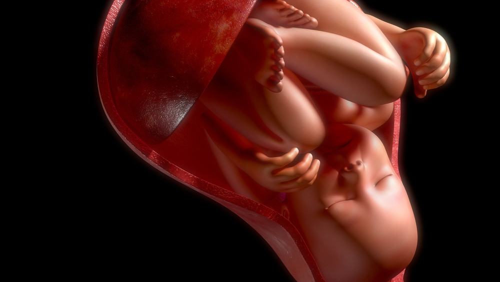 Posizione del feto nell'utero: qual è la più ideale per il parto ed è a rischio?