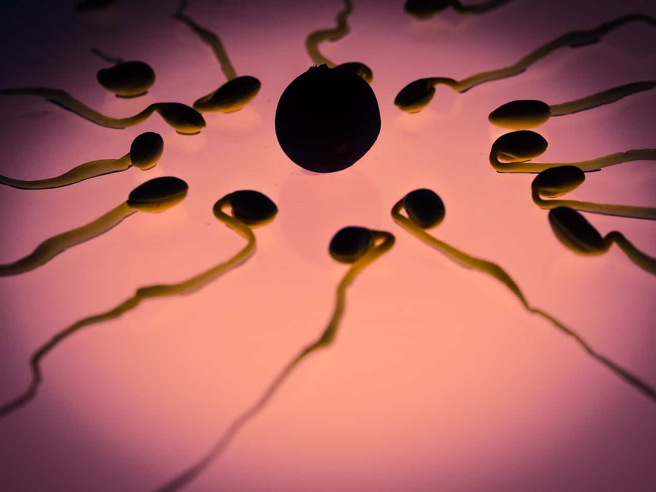 11 modi per migliorare la qualità dello sperma per la fertilità maschile