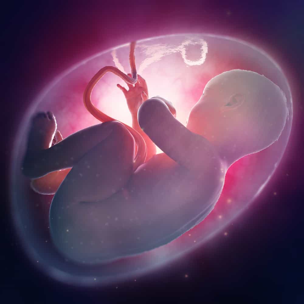 Cos'è la placenta? Queste sono 5 cose che devi sapere