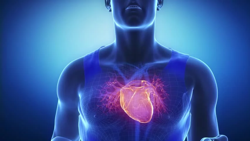 تعرف على الأسباب المحتملة المختلفة لتورم القلب