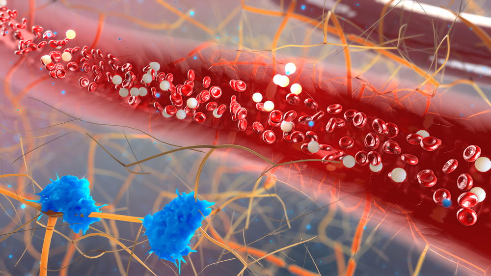 Fahami apa itu saluran darah kapilari, fungsinya dan bagaimana menjaga kesihatannya