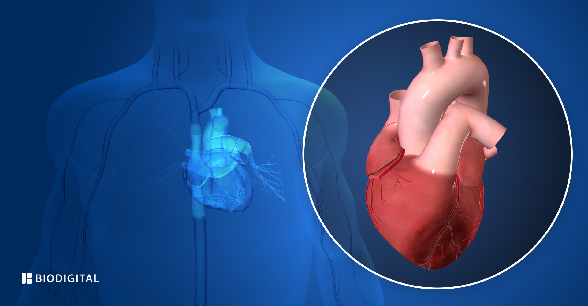 Pelbagai penyebab serangan jantung yang penting untuk diketahui