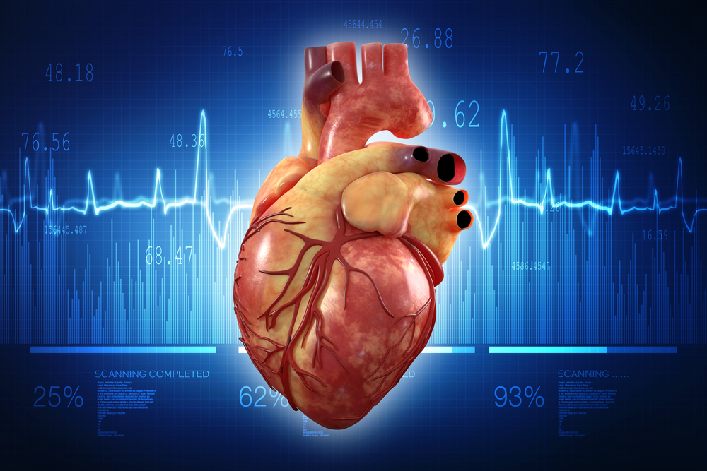 Rivedere l'anatomia del cuore, comprese parti, funzioni e malattie che possono insorgere