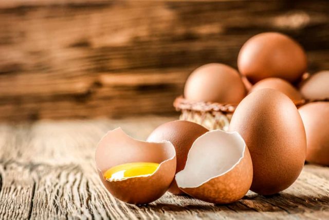 Apa Kelebihan Telur Omega 3 berbanding Telur Biasa?