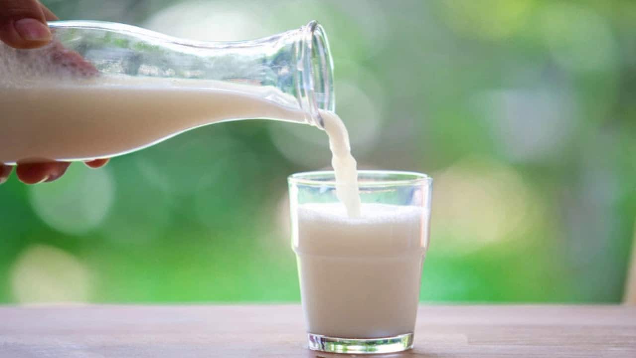 هشاشة العظام بالفعل ، هل لا يزال بإمكانك شرب الحليب لتقوية العظام؟