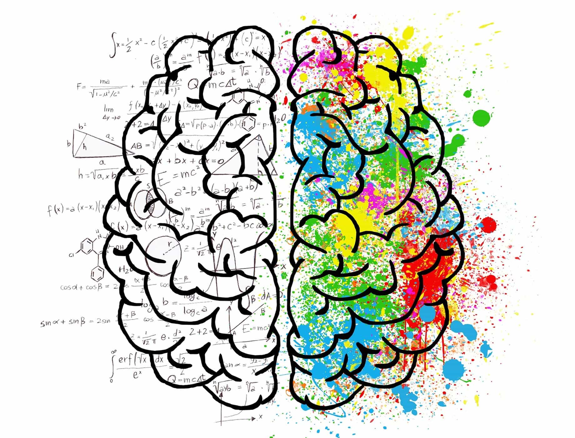 右脳と左脳の機能が違うというのは本当ですか？違いは何ですか？