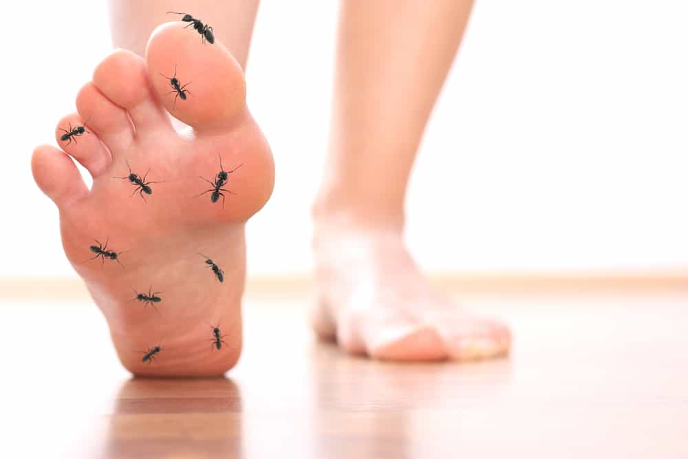 7 cause di formicolio ai piedi che si realizzano raramente