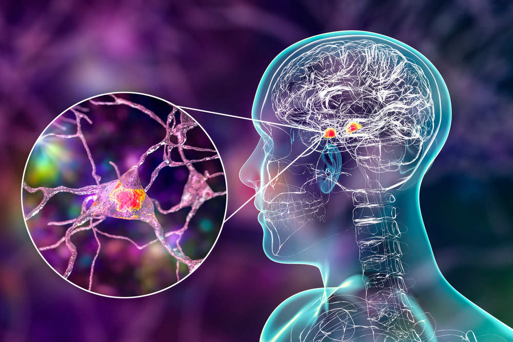 Kenali Amygdala, Bahagian Kecil Otak yang Berperanan dalam Ketakutan