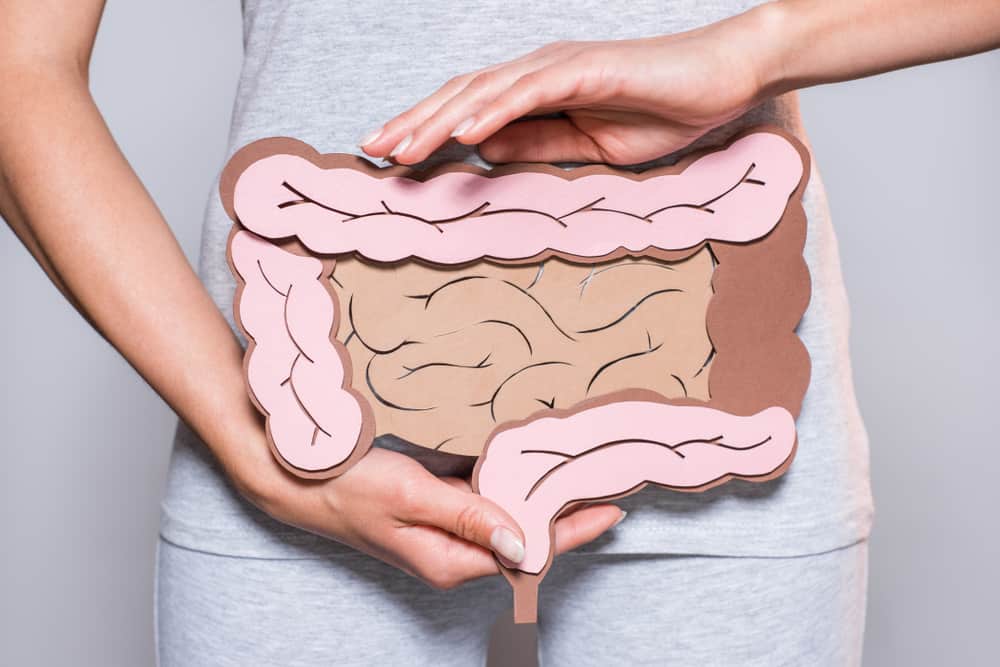 تعرف على تشريح ووظيفة الأمعاء الغليظة في جسم الإنسان