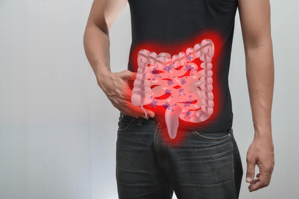 وظائف الأمعاء الدقيقة في الهضم وأمراض مختلفة