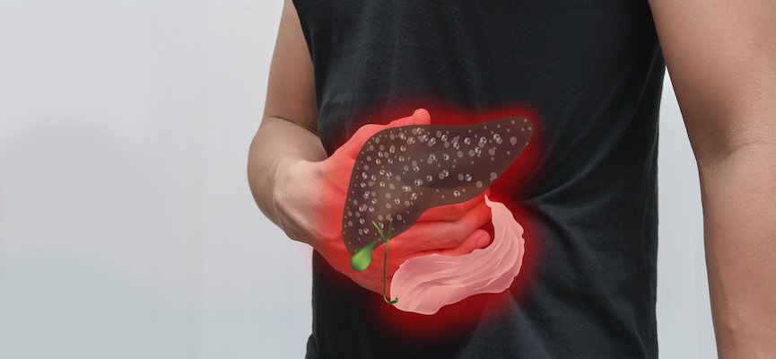 Знайте структурата и функцията на черния дроб (черния дроб) в храносмилателната система