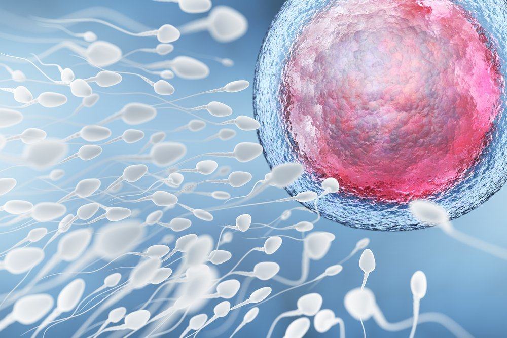 Какъв е вкусът на спермата? И 8 други уникални факта за спермата