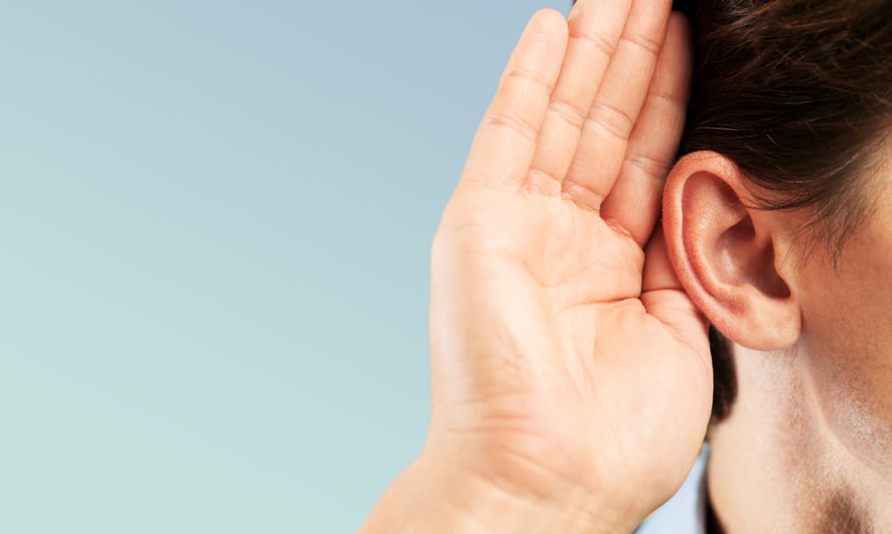 Riconoscere la sequenza del processo uditivo negli esseri umani