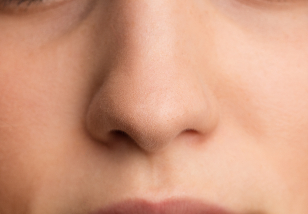 Напълно отлепете анатомията на човешкия нос от външната към вътрешната страна