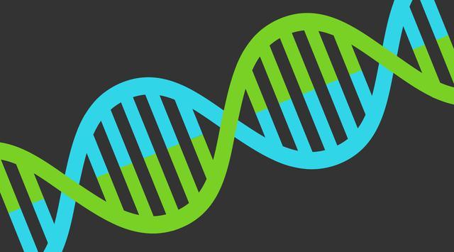 كيف تعمل اختبارات الحمض النووي للتحقق من النسب