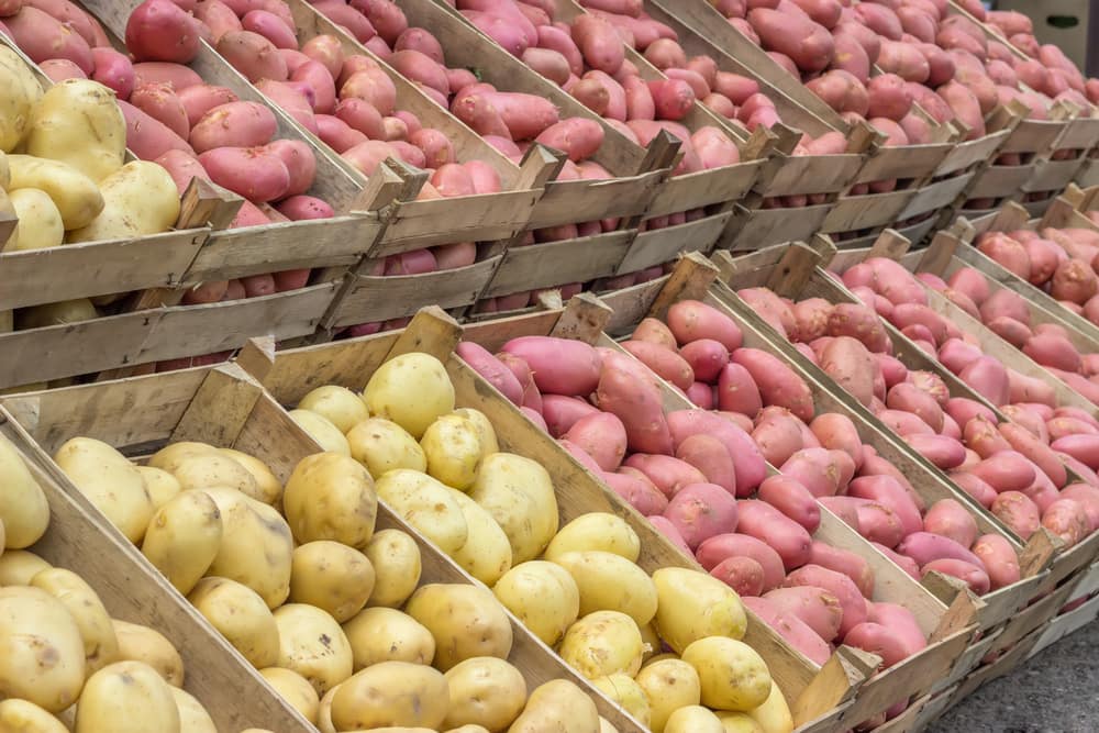 サツマイモとジャガイモのどちらの炭水化物源がより健康的ですか？