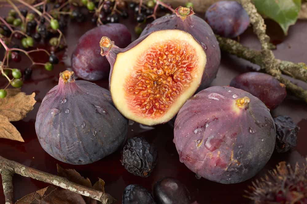 7 الفوائد الصحية لفاكهة القصدير ، الفاكهة الأسطورية للنبي
