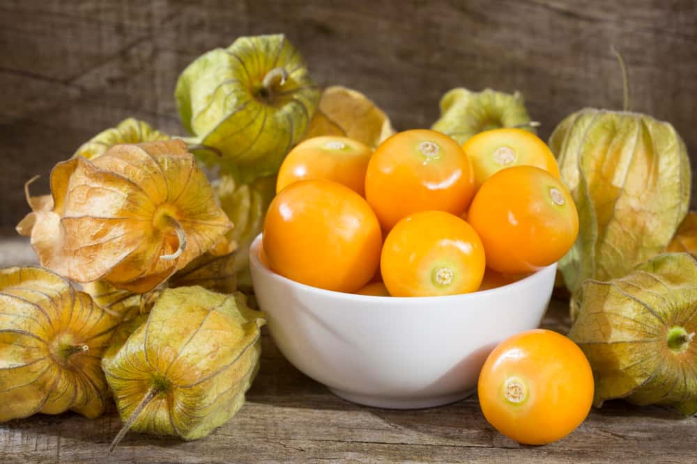 Запознайте се с хранителното съдържание и 5 ползи за здравето на плодовете Ciplukan