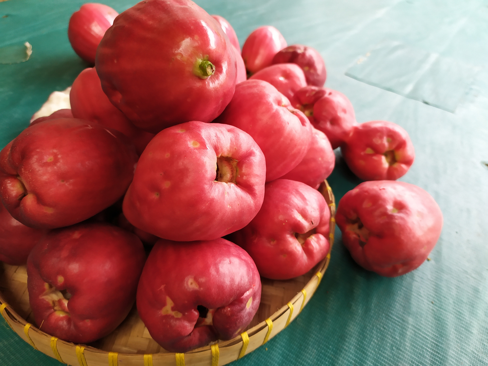 هذه الفوائد السبع للجوافة الجامايكية لجسمك