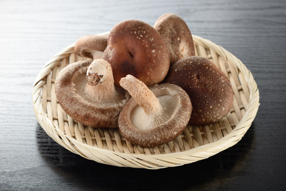 5 sorprendenti benefici dei funghi Shitake, il cioccolato a basso contenuto calorico