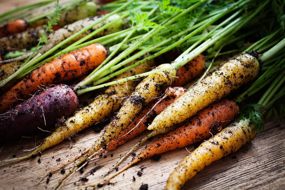 Adakah benar makanan organik lebih sihat daripada makanan biasa?