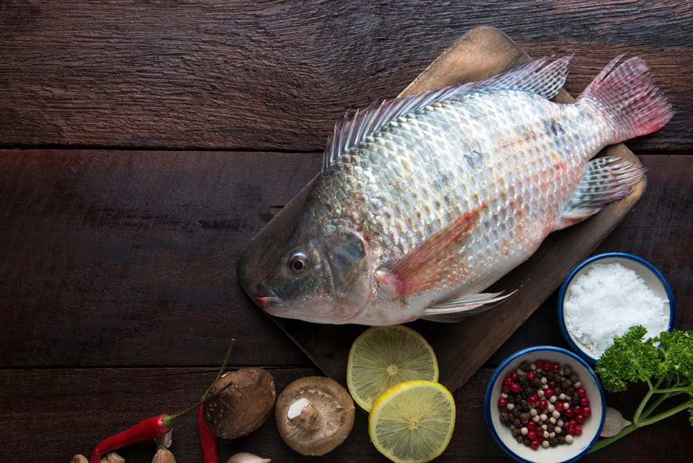Преглед на 5 ползи от рибата тилапия, източника на протеин и омега-3