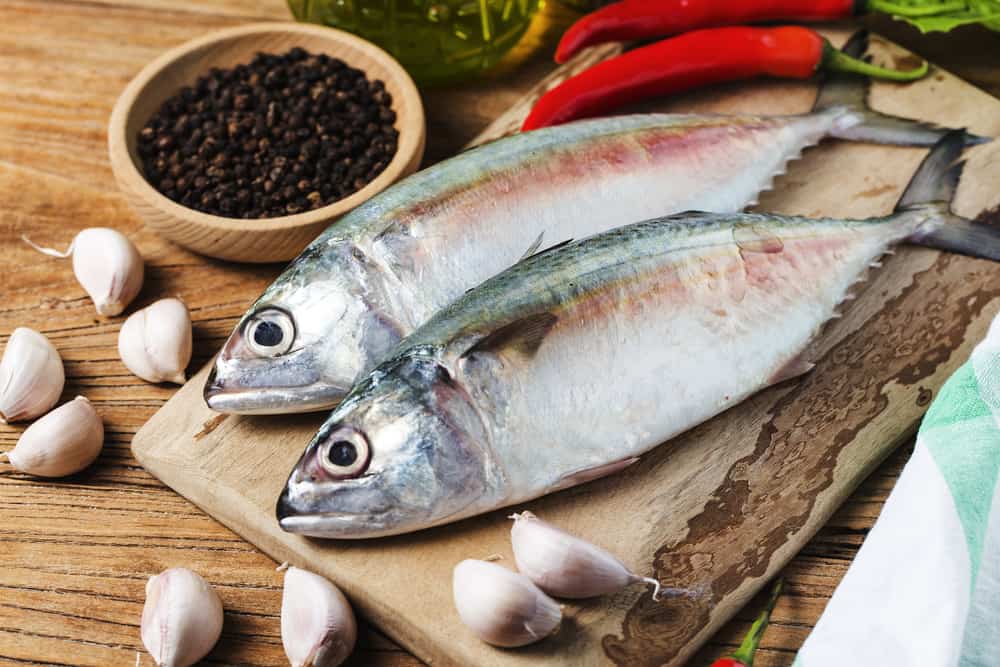 هل تحب أكل السمك المنتفخ؟ يمكنك الحصول على هذه الفوائد الصحية الأربعة