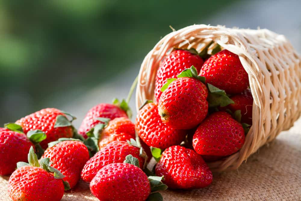 Buah Strawberry, Cantik dan Asam yang Menyimpan Berbagai Manfaat