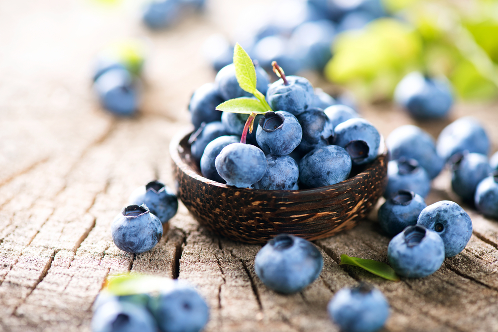 نظرة خاطفة 7 فوائد للعنب البري للصحة ، وراء المذاق الحلو والمر