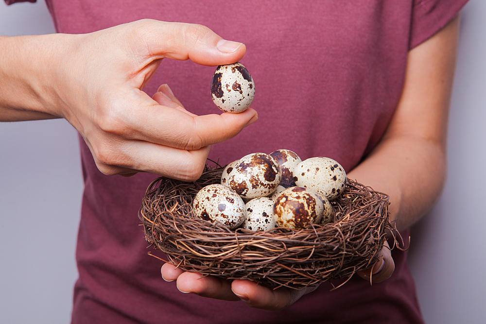 يعتبر ارتفاع نسبة الكولسترول في الدم ، هل من الجيد أن تأكل كم عدد بيض السمان في اليوم؟