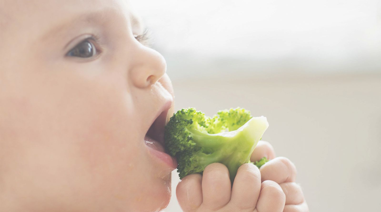 دليل لتصميم قائمة طعام الطفل التكميلية لمدة 6 إلى 11 شهرًا