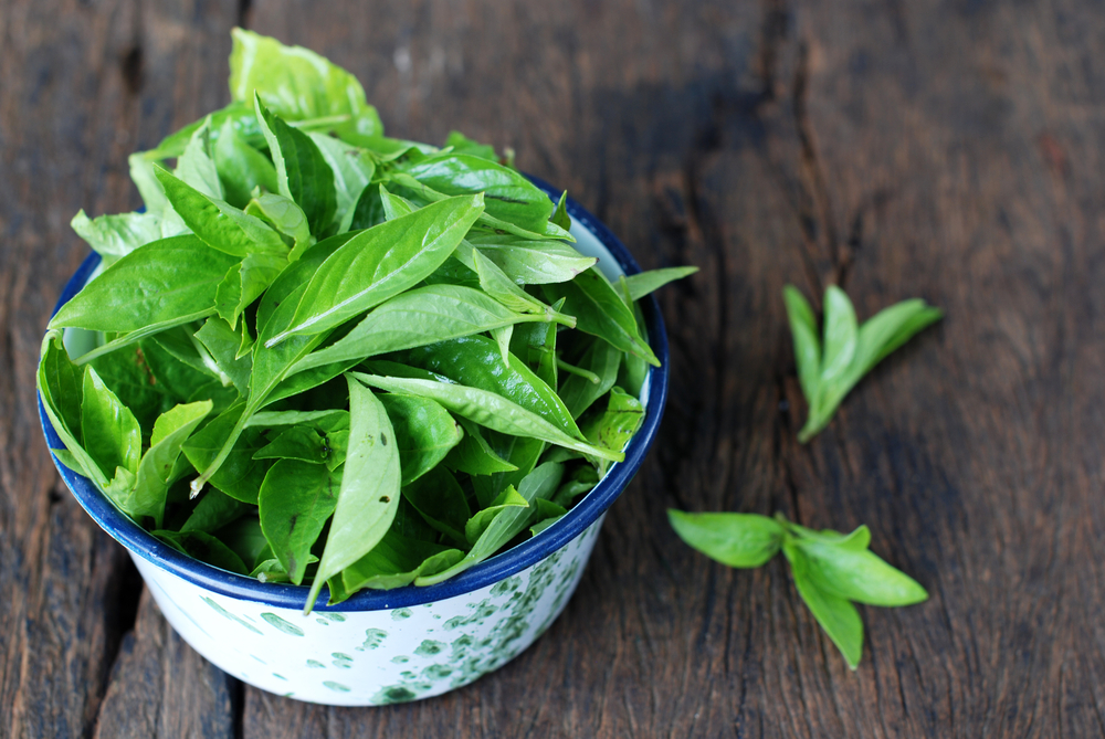 3 benefici delle foglie di basilico per la salute, non solo deliziose come verdure fresche
