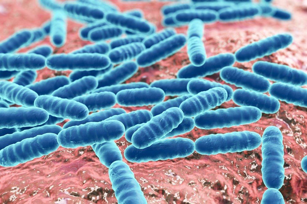 Как бактериите могат да се разпространяват и причиняват заболяване?