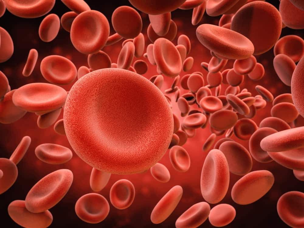 Ketahui Lebih Lanjut Mengenai Hemoglobin (Hb)