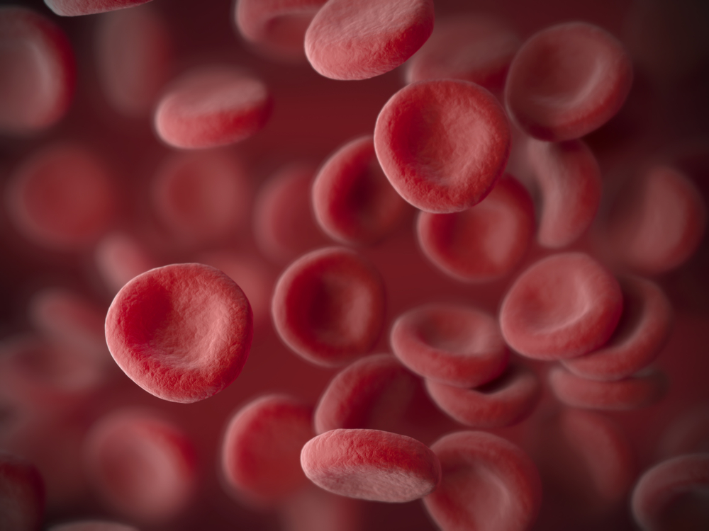 赤血球（赤血球）の正常な数と体に対するそれらの機能を知る