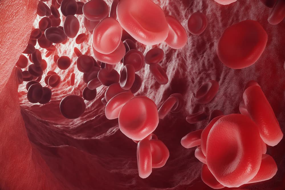体内の赤血球の数も多くなる可能性があります！これはさまざまな原因です