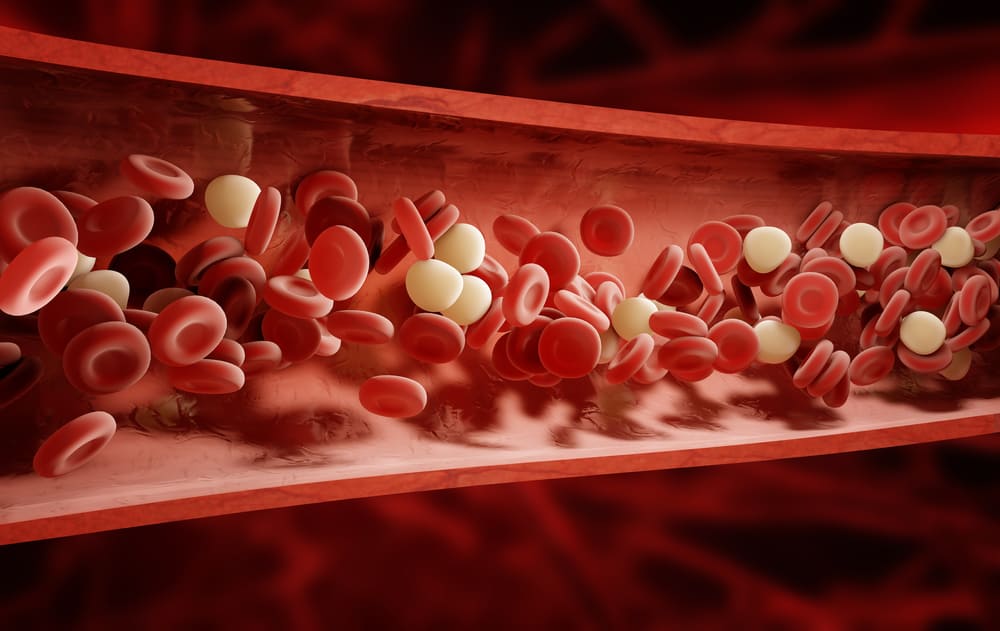 Ayuh, jauhi penyakit dengan 5 langkah untuk meningkatkan peredaran darah